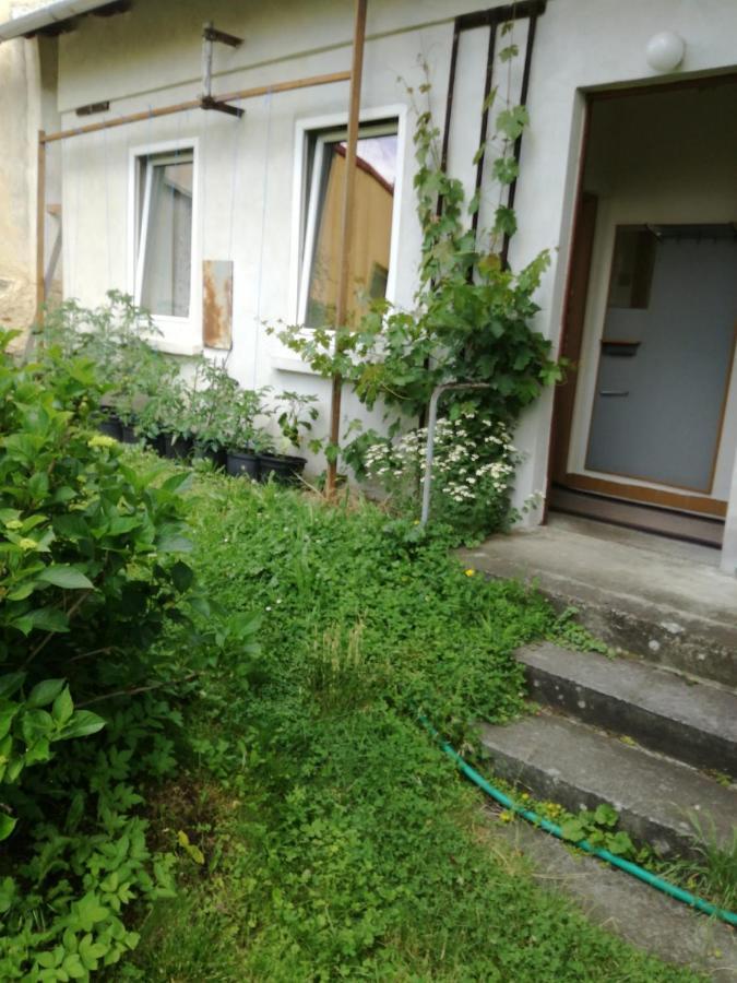 Kemp A Stanovani Na Fare Javornik  Exterior photo